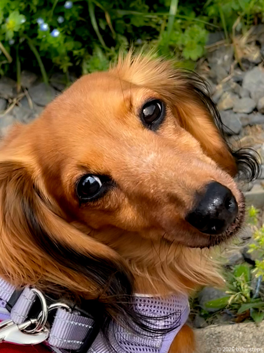 88c1798dd81743909f5bb2e3716bf2c7