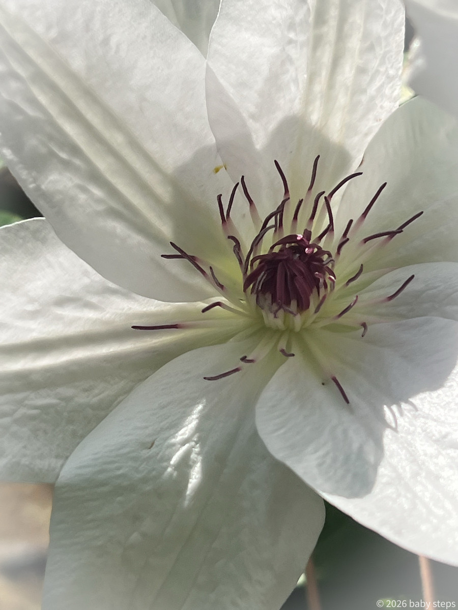 3178ef4ddb2a4d0bbc81979a915358c4