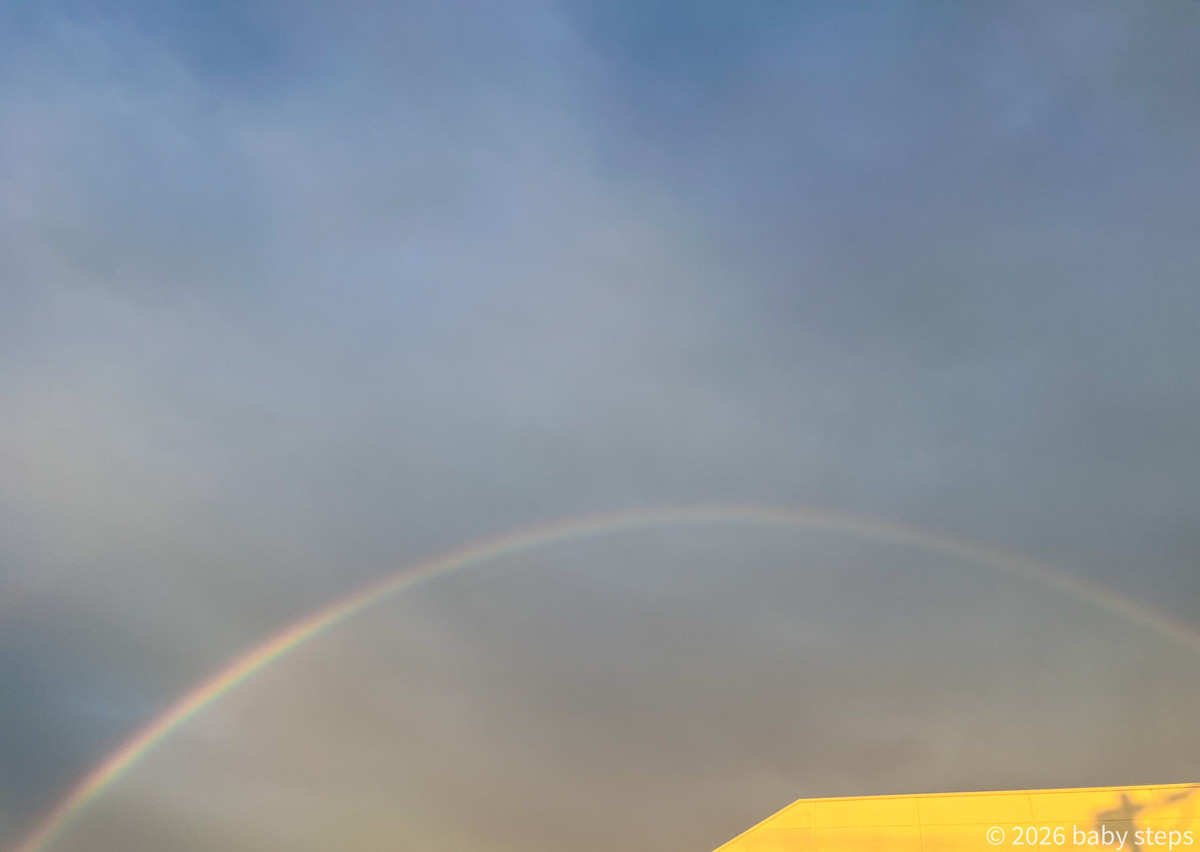 62f71dc49d8d4dad8634f2a274e25daf